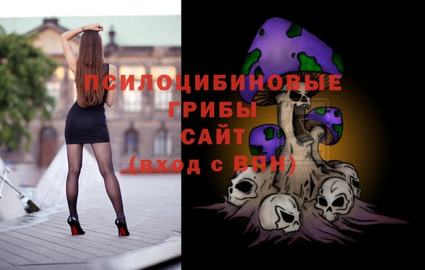 spice Вязники