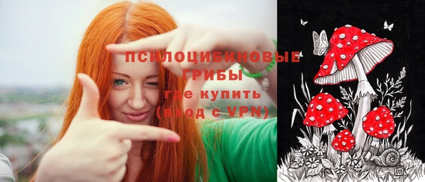 амф Вязьма