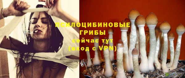 амф Вязьма