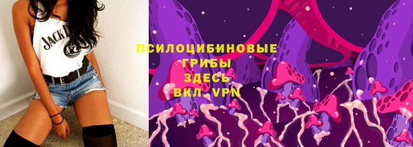 стаф Протвино